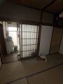 kuki_18
