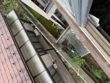 omiya_2021-10-25_12-03-59_727