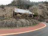 kazuma_2022-03-29_09-22-07_524