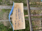 kazuma_2022-03-29_10-04-25_412